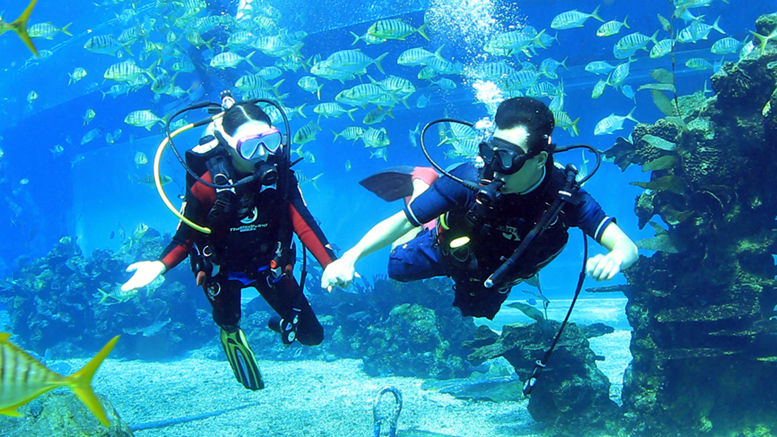 潛水運(yùn)動的由來