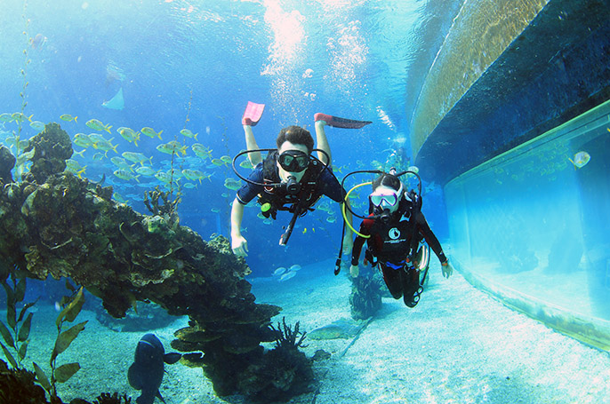 潛水真的能長高嗎？