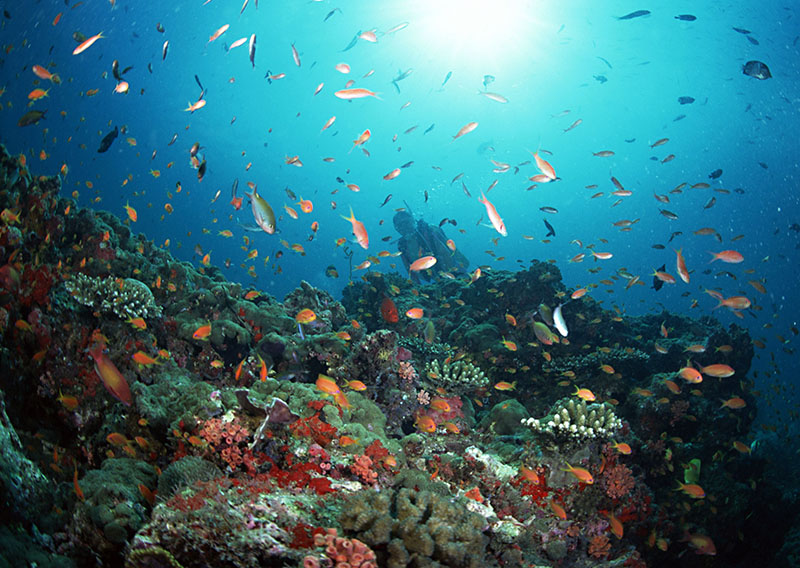 水下會(huì)遇到的問(wèn)題解決方法