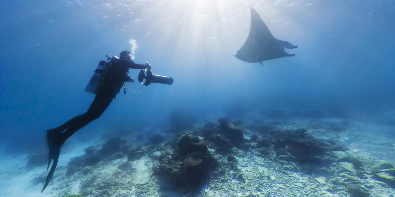 注意，這幾種情況下不能潛水