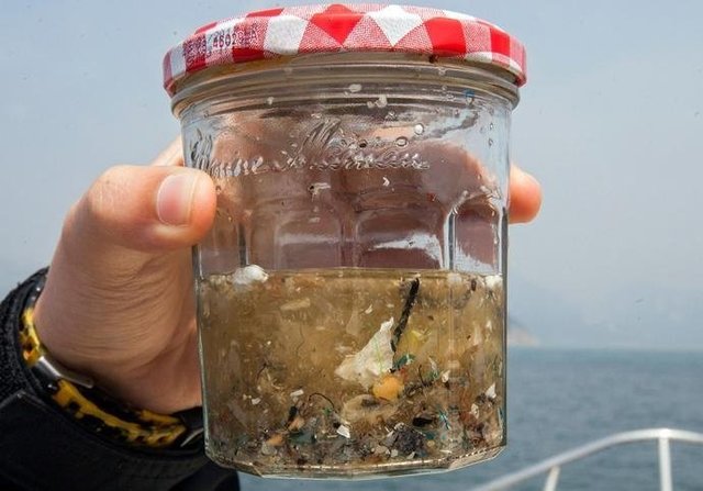 如果知道海洋中的塑料垃圾會(huì)進(jìn)入人類肚子，你還會(huì)丟嗎？