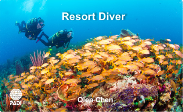 12/12正式上線！PADI 最新課程【休閑潛水員Resort Diver】 丨 一天拿證，潛遍全球