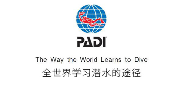 12/12正式上線！PADI 最新課程【休閑潛水員Resort Diver】 丨 一天拿證，潛遍全球