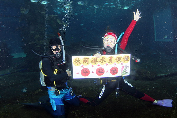 12/12正式上線！PADI 最新課程【休閑潛水員Resort Diver】 丨 一天拿證，潛遍全球