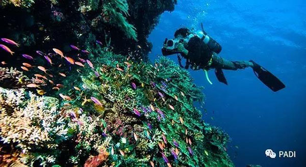 11個你不得不去的印尼頂級潛點