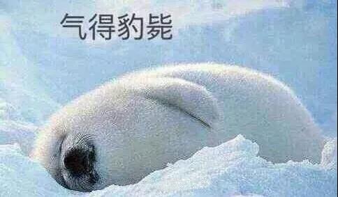 原來你是這樣的潛水員妹子！